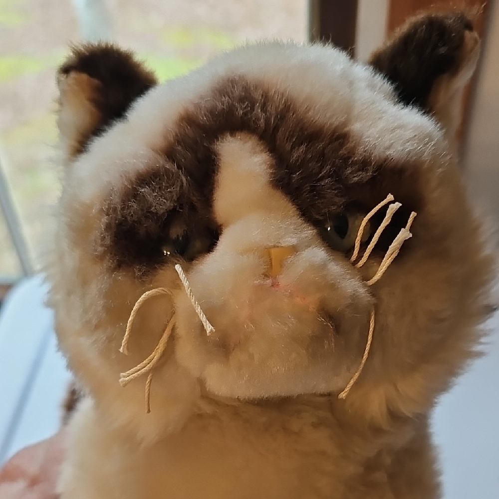 GUND Grumpy Cat - Picture 4 of 6